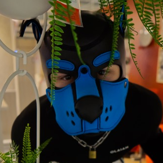 Profilbild